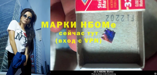 хмурый Алзамай