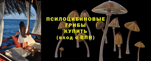 хмурый Алзамай