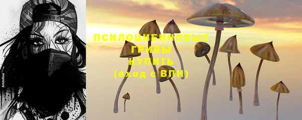 МДПВ Алексеевка
