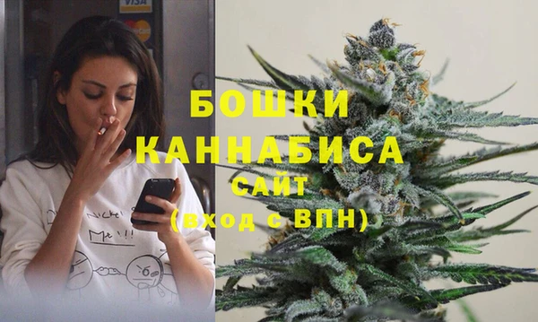 хмурый Алзамай
