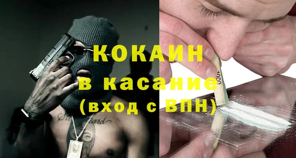 хмурый Алзамай